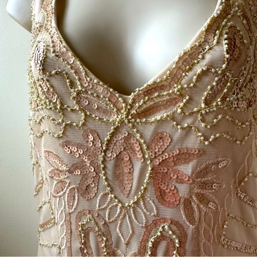 🌹Beautifully beaded  with fringed hem, flapper type dress ✨ new with tag.